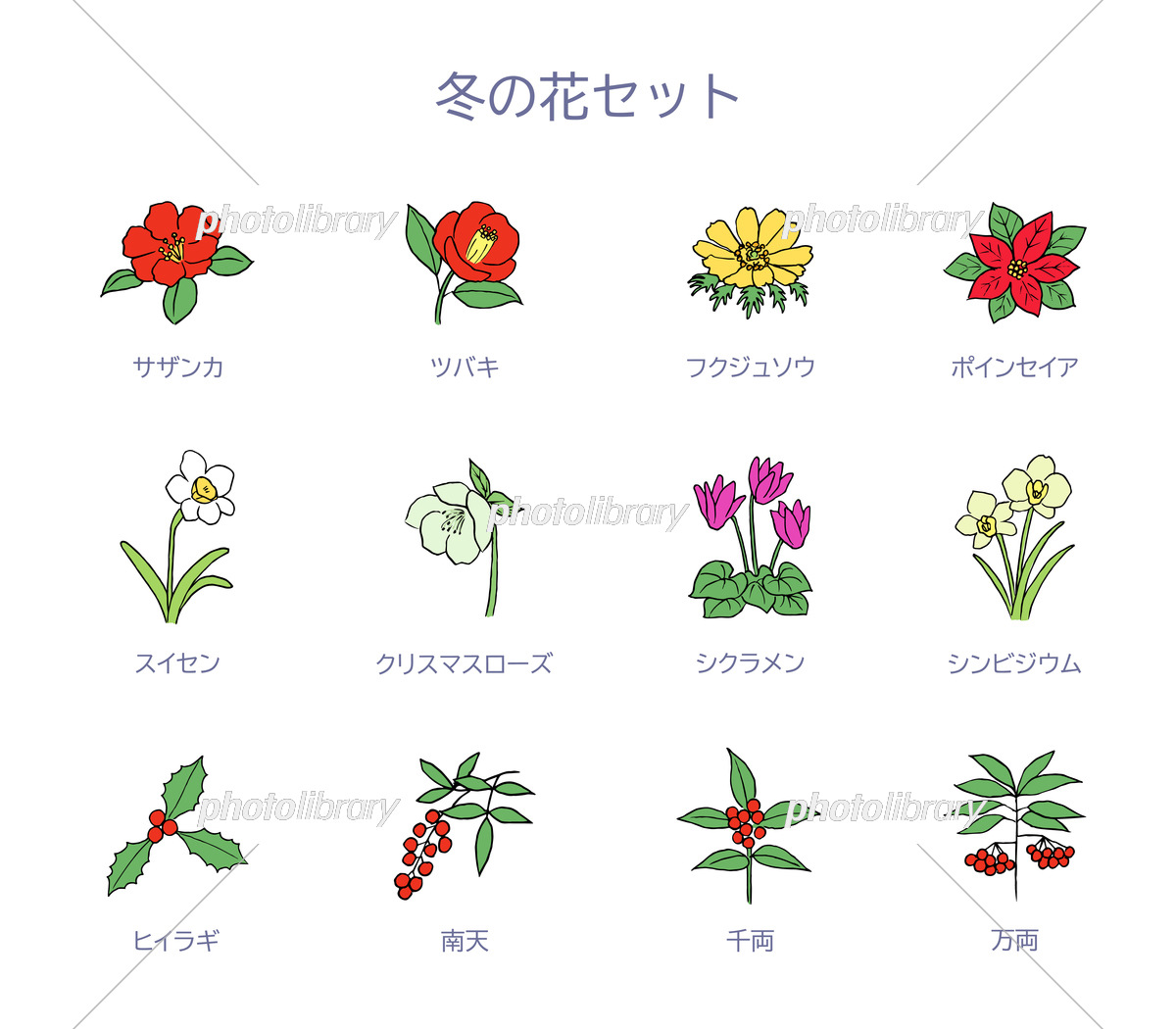 冬の花イラスト最新事情！商用無料の穴場と魅せる手書き術を徹底検証