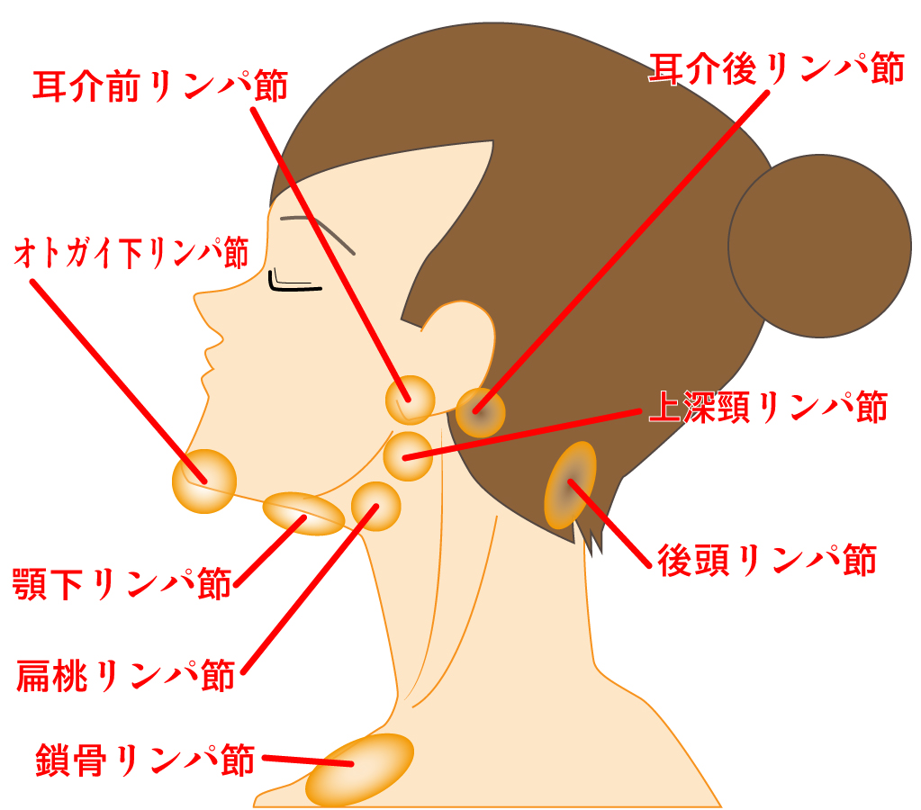 顎の下のしこりで痛くない原因は？受診すべき診療科と放置の危険性