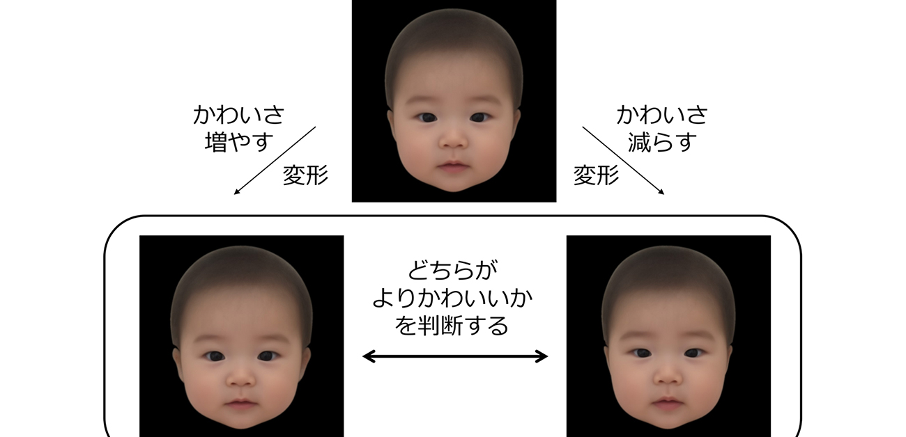 ブサイクな子供は成長で激変する？遺伝と骨格が握る顔立ちの真相