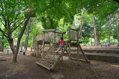 【徹底調査】 林 試 の 森 公園 最新情報まとめ 2026 #676
