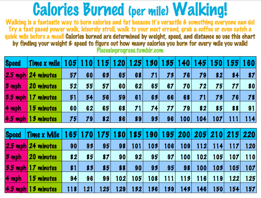 How Many Calories Does a 3 Hour Walk Burn