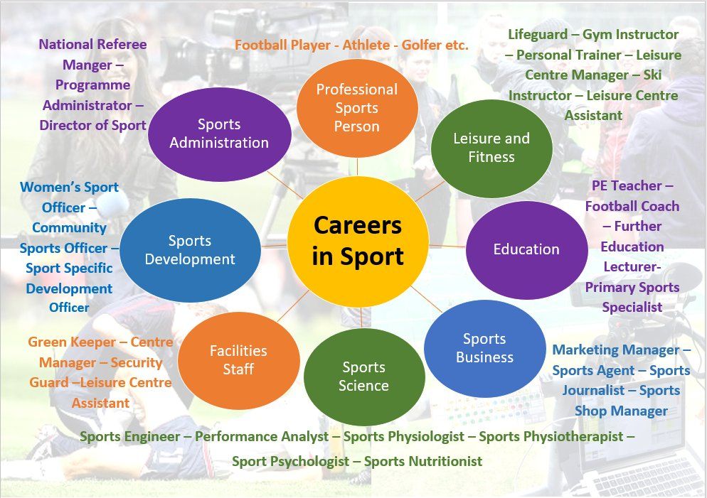 Careers Involving Sports