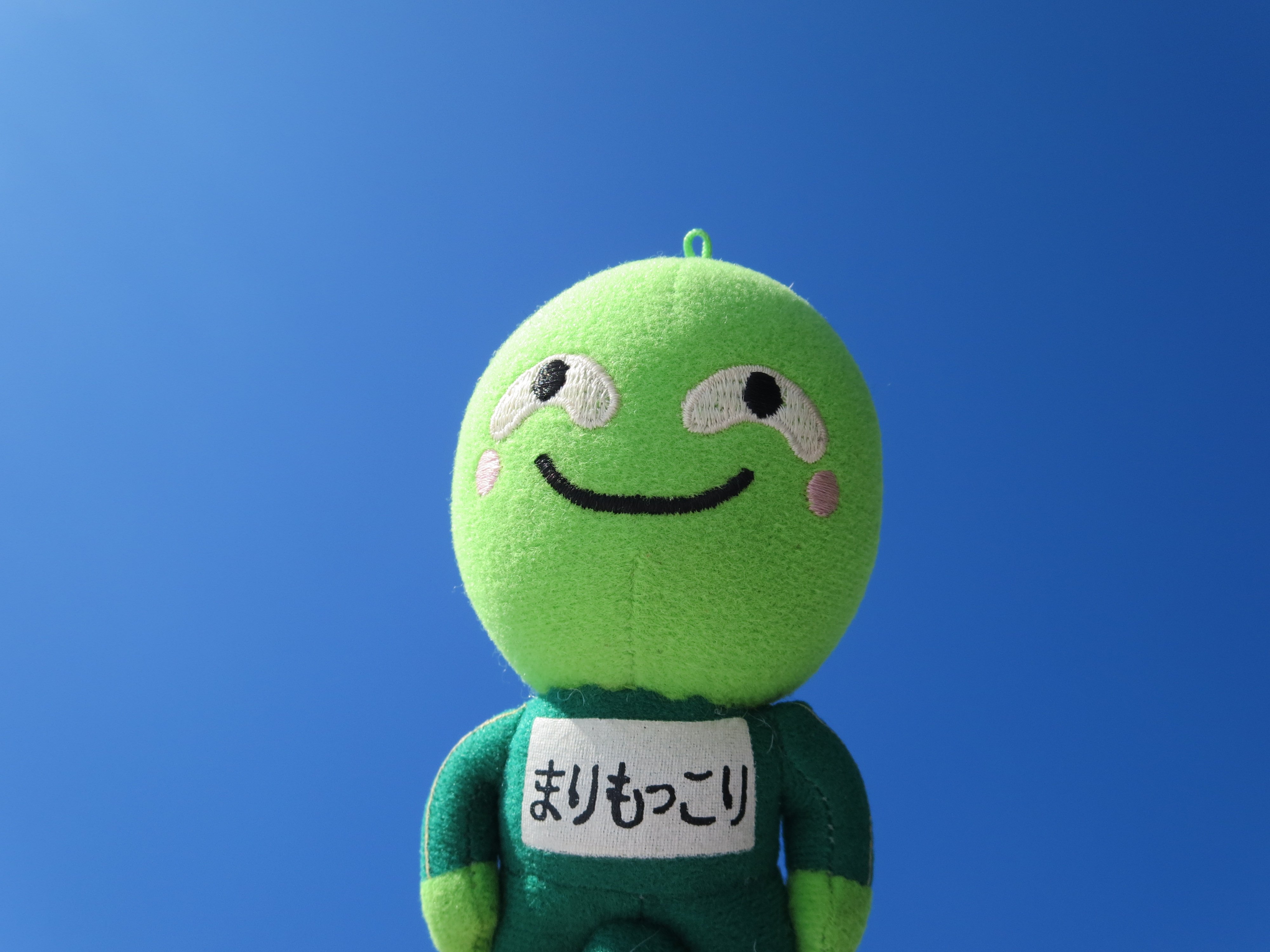 まりもっこりの現在は？消えた理由と2026年最新動向を徹底追跡