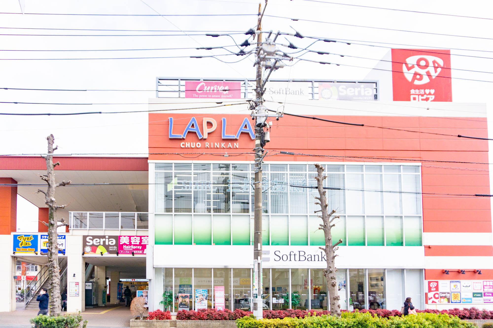ロピア中央林間店の完全攻略法！混雑回避と支払い・名物総菜の真相