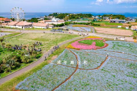 【画像あり】 長井 海 の 手 公園 ソレイユ の 丘 最新ファイル＆画像まとめ #744