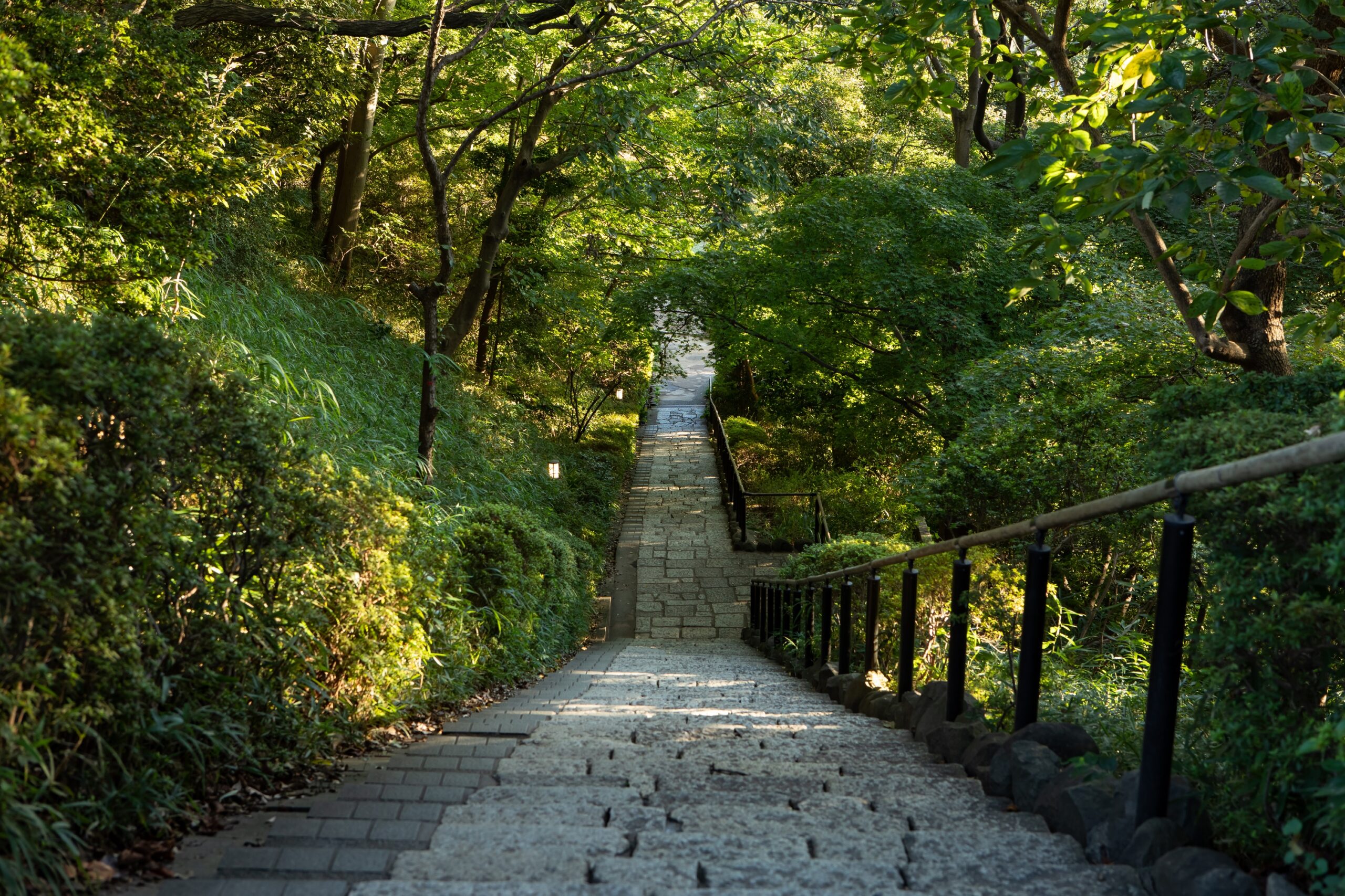 2026年、都市の「水と緑のオアシス」が激変中——なぜ「せせらぎ公園」に今、空前の人が押し寄せるのか？