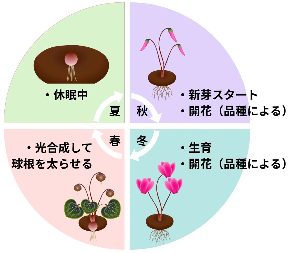新日本畳屋町ビルの噂の真相と現在｜空室賃料や治安のリアルを徹底取材