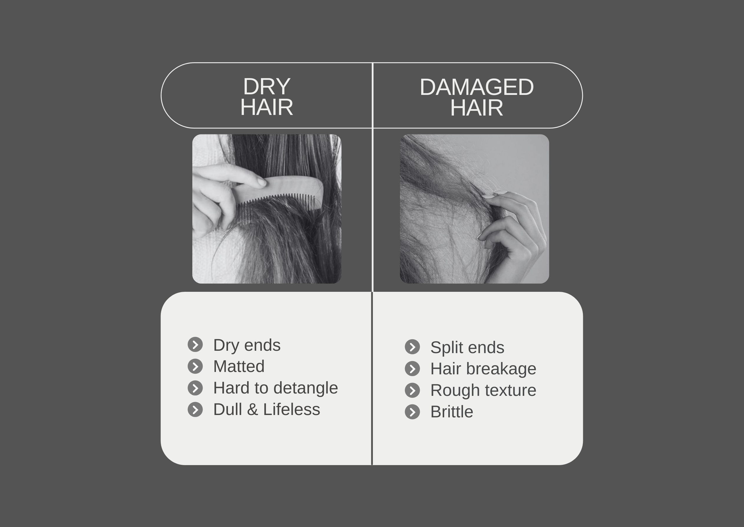 How to Tell If You Have Dry Hair