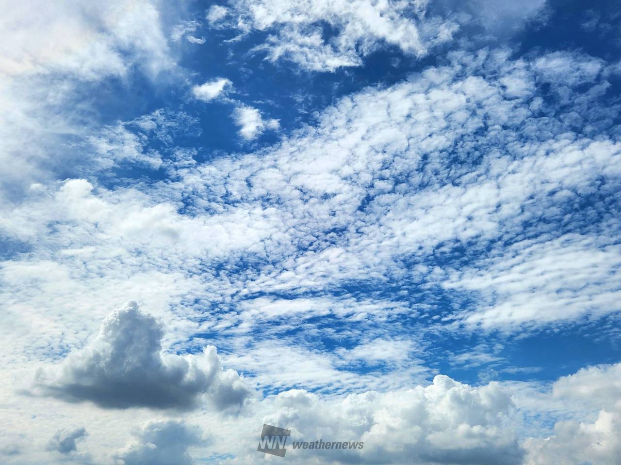 夏の雲に潜む危険と正体！入道雲と積乱雲の違いや急変サインを徹底解説