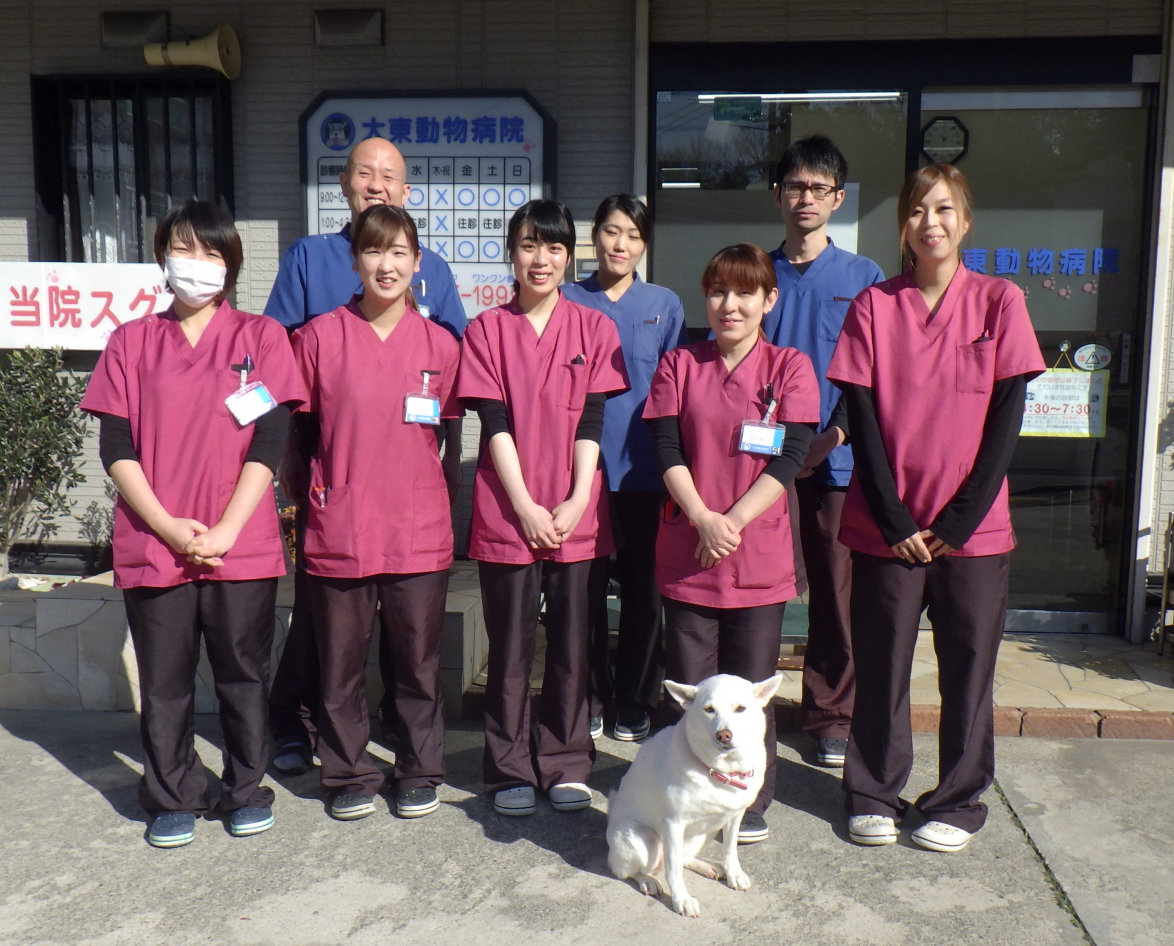 大東動物病院の評判と真相｜2026最新の診療体制・費用・救急を徹底検証