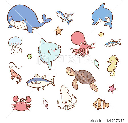 【画像あり】 海 の 生き物 かわいい イラスト 人気理由と評判まとめ #674