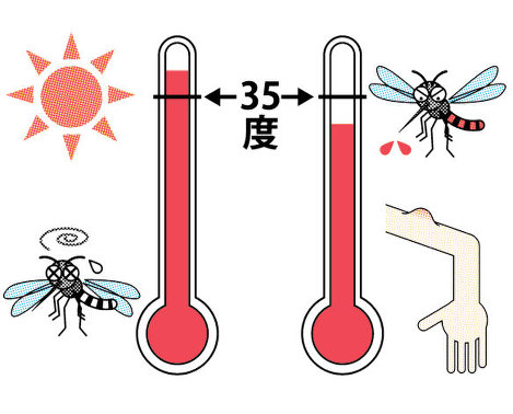 【2026年最新】蚊の猛暑襲来、もう耐えられない痒みに終止符を打つ「秒速リセット術」とは？