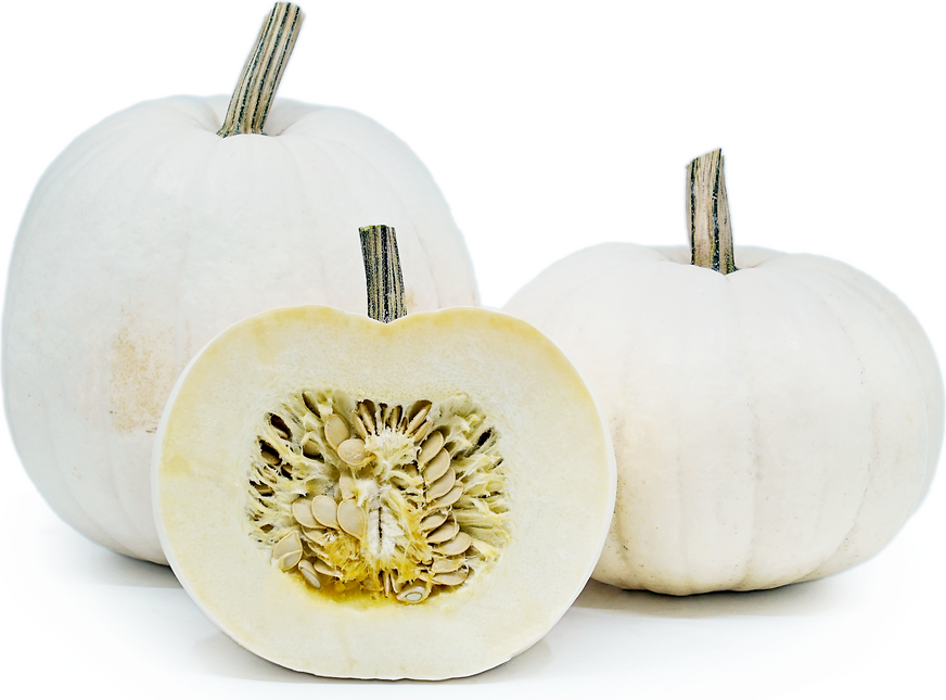 Are White Pumpkins White Inside