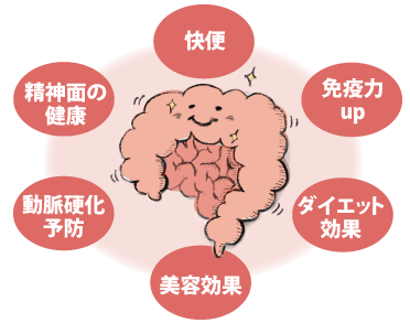 腸活2.0の衝撃：納豆とヨーグルトの「禁断の組み合わせ」が2026年に大ヒットしている科学的理由