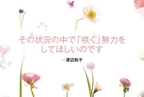 【経歴】 花 言葉 努力 話題のバズ動画・画像 #721