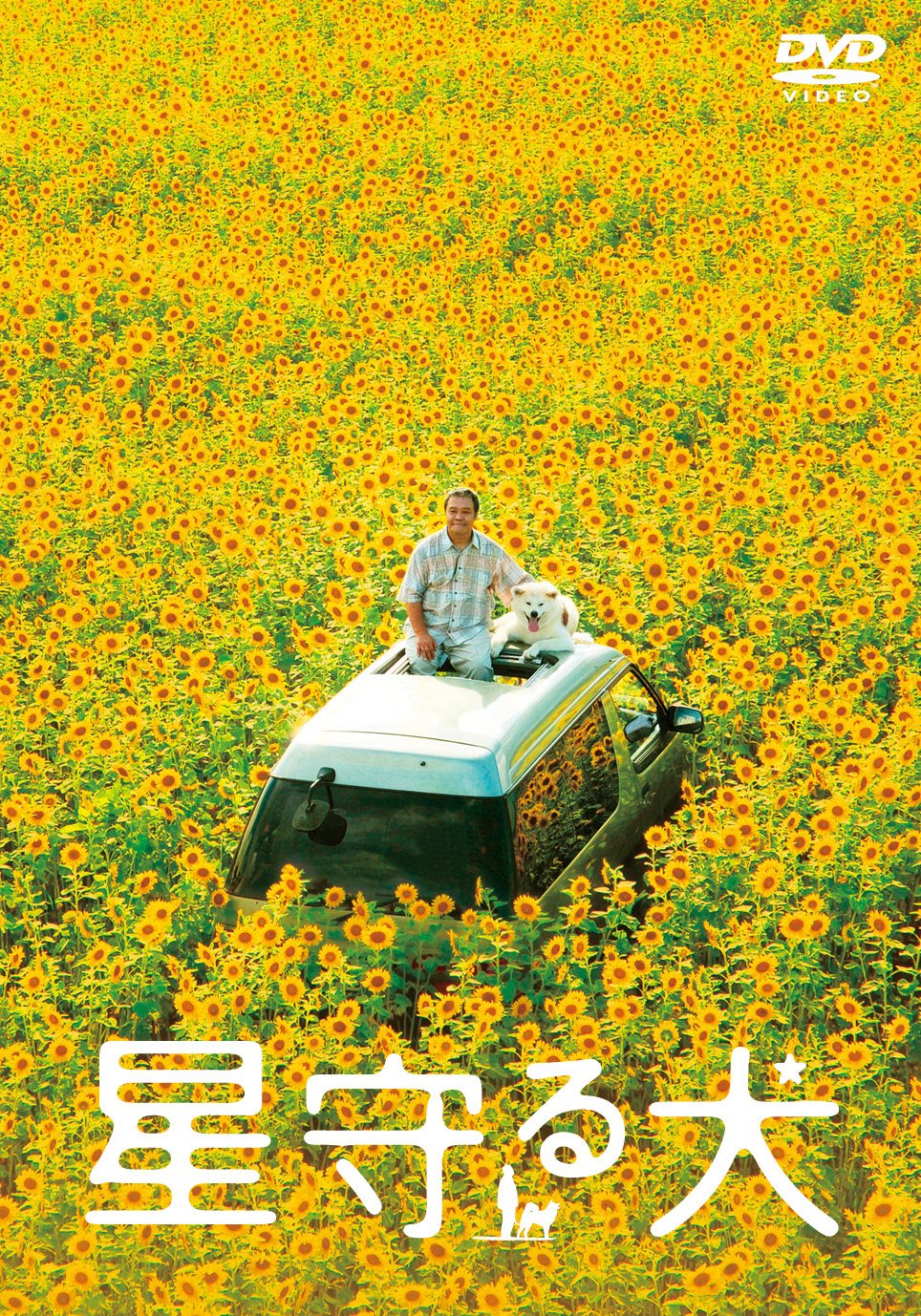 映画『星守る犬』が今なぜ泣けるのか？西田敏行の傑作と配信秘話