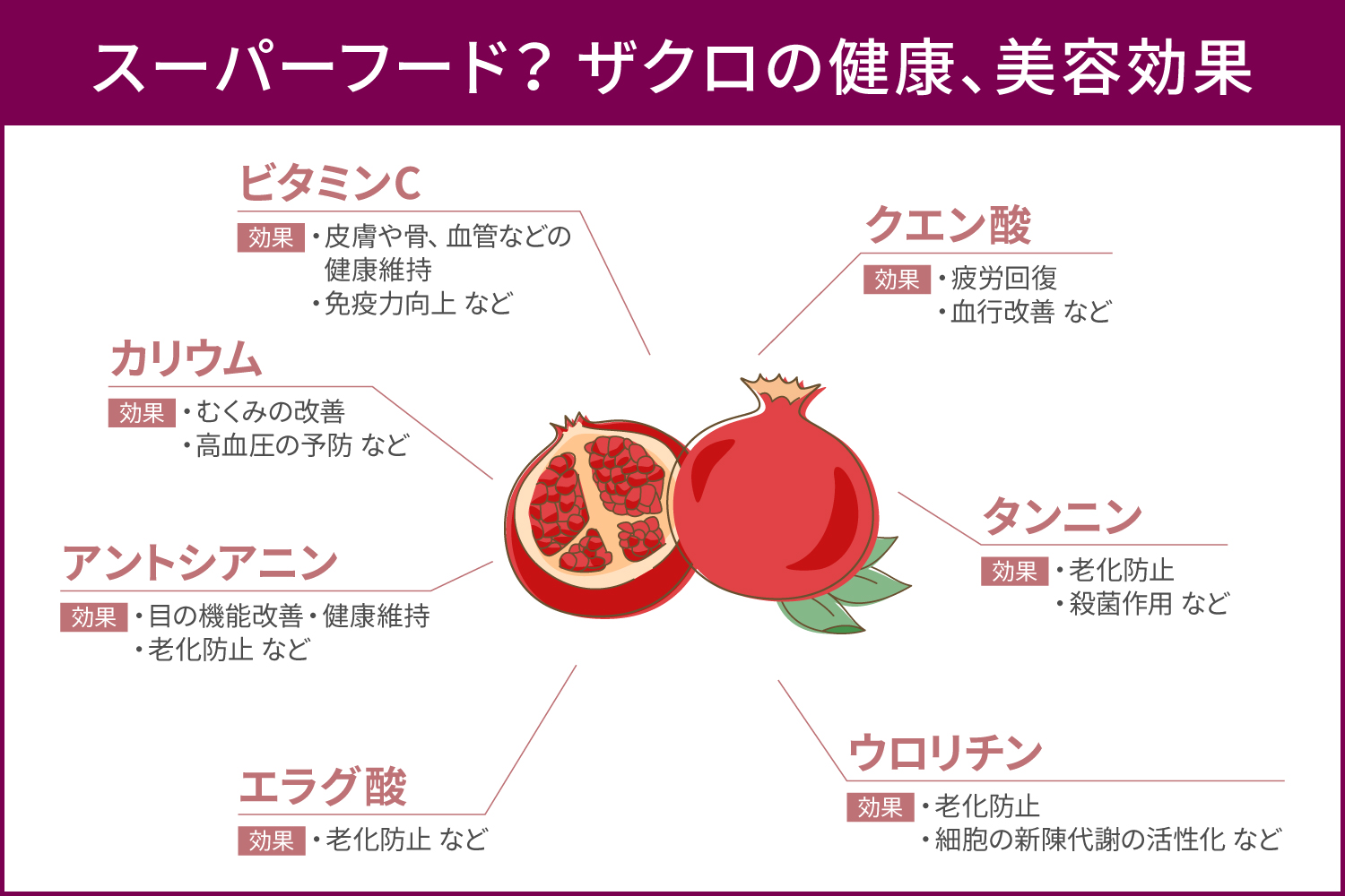 ザクロ効果の隠された真実とは？美肌と若返りをもたらす最新研究