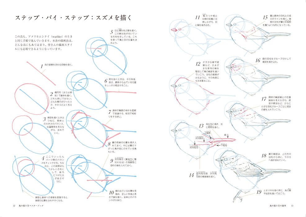プロ直伝！鳥の書き方完全ガイド｜簡単イラストから美文字漢字まで