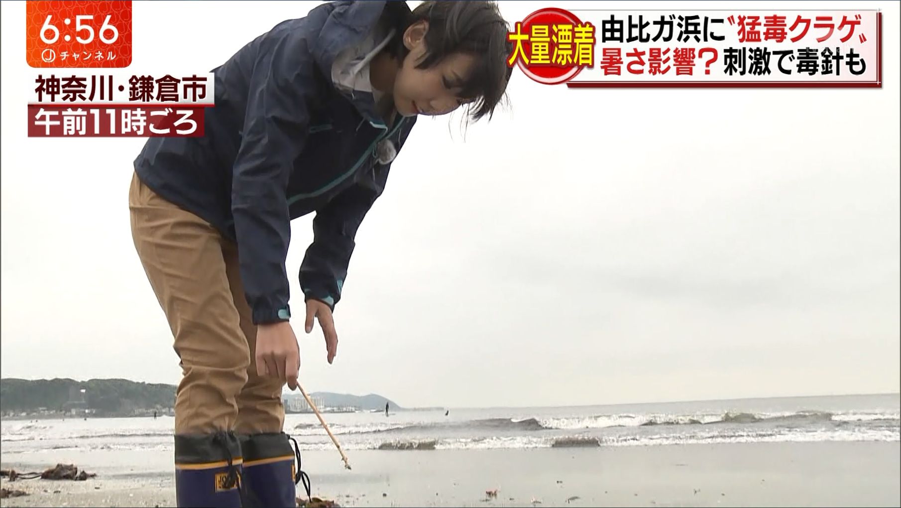寺崎比呂美とは何者か？経歴や現在の活動、ネット上の評判と真相