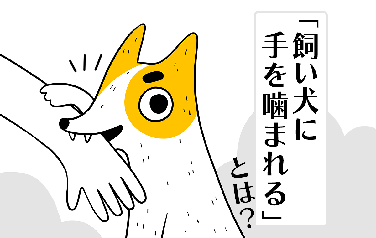 飼い犬に手を噛まれる本当の意味とは？裏切りと行動心理の真相