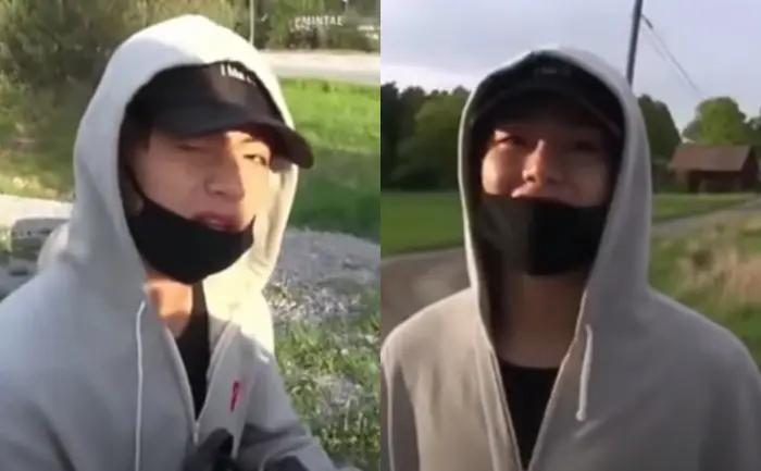 Bts v Is from Which Country