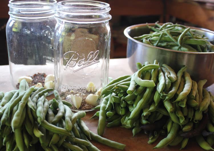 How to Keep Fresh Green Beans Fresh