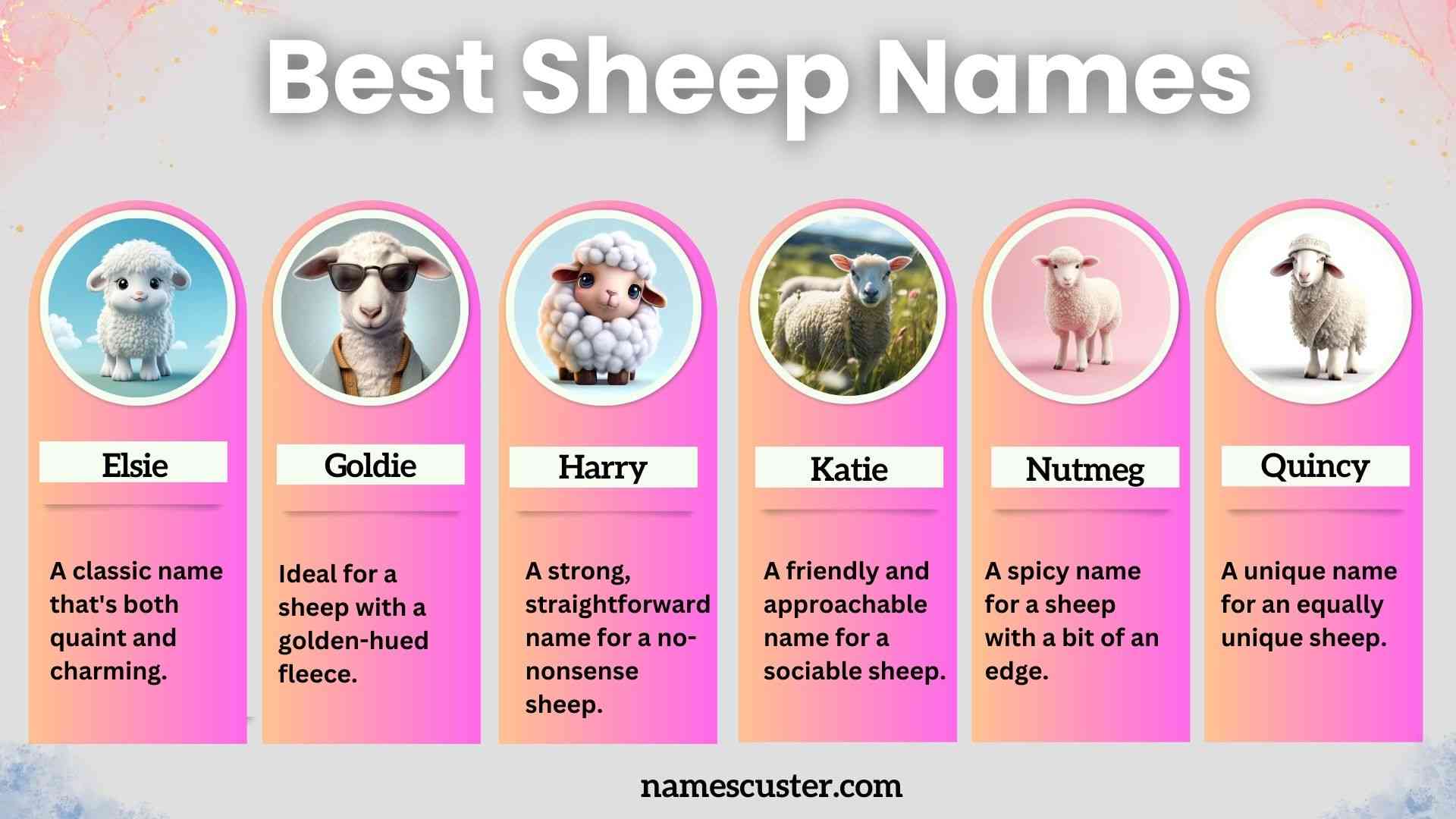 Name for a Group of Sheep