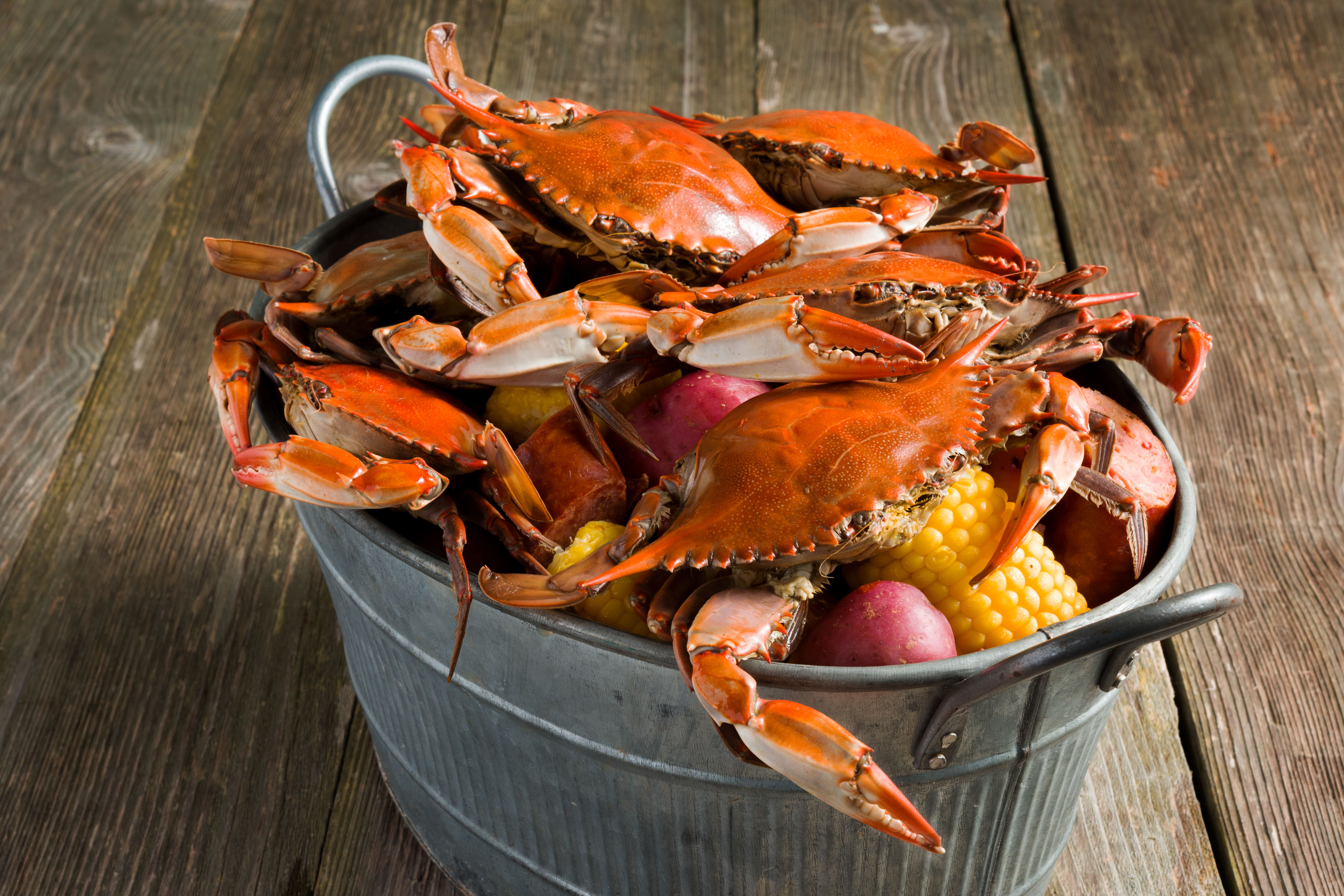 How to Boil Blue Crabs