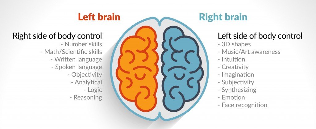 Right Side of Brain Controls What Functions