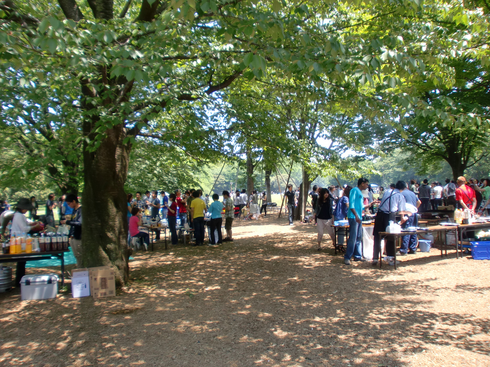 小金井公園バーベキュー攻略2026｜予約の裏ワザと手ぶら料金の真実