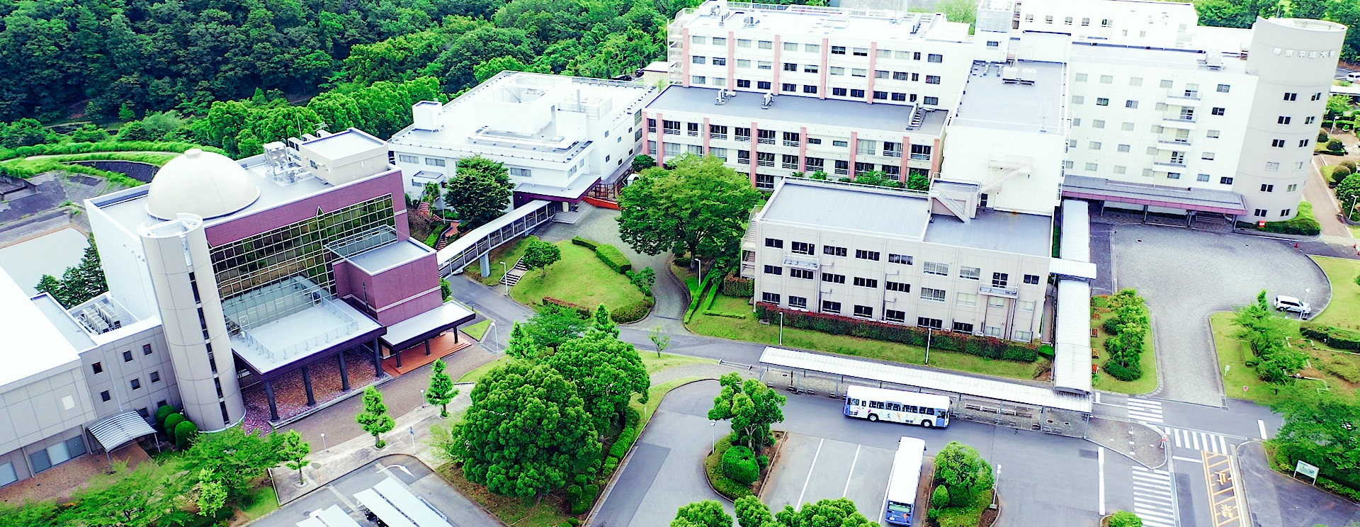 帝京平成大学千葉キャンパスのリアルな評判と学費の裏側を徹底追跡