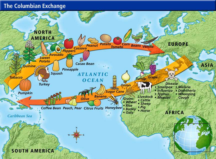 What Were Some of the Effects of the Columbian Exchange