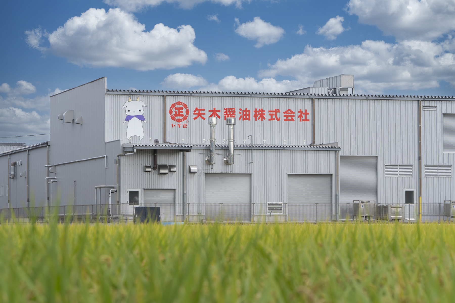 矢木醤油の口コミと評判を徹底解明！プロ絶賛の伝統製法と取扱店