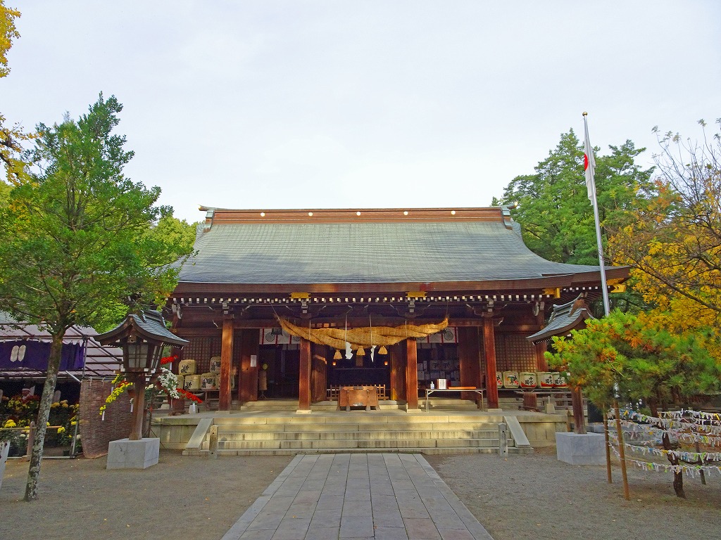 【2026年最新】歴史と桜の絶景が熱い視線を集める「菊池神社」の挑戦――南北朝のロマンと次世代観光が交差する熊本の深き聖地へ