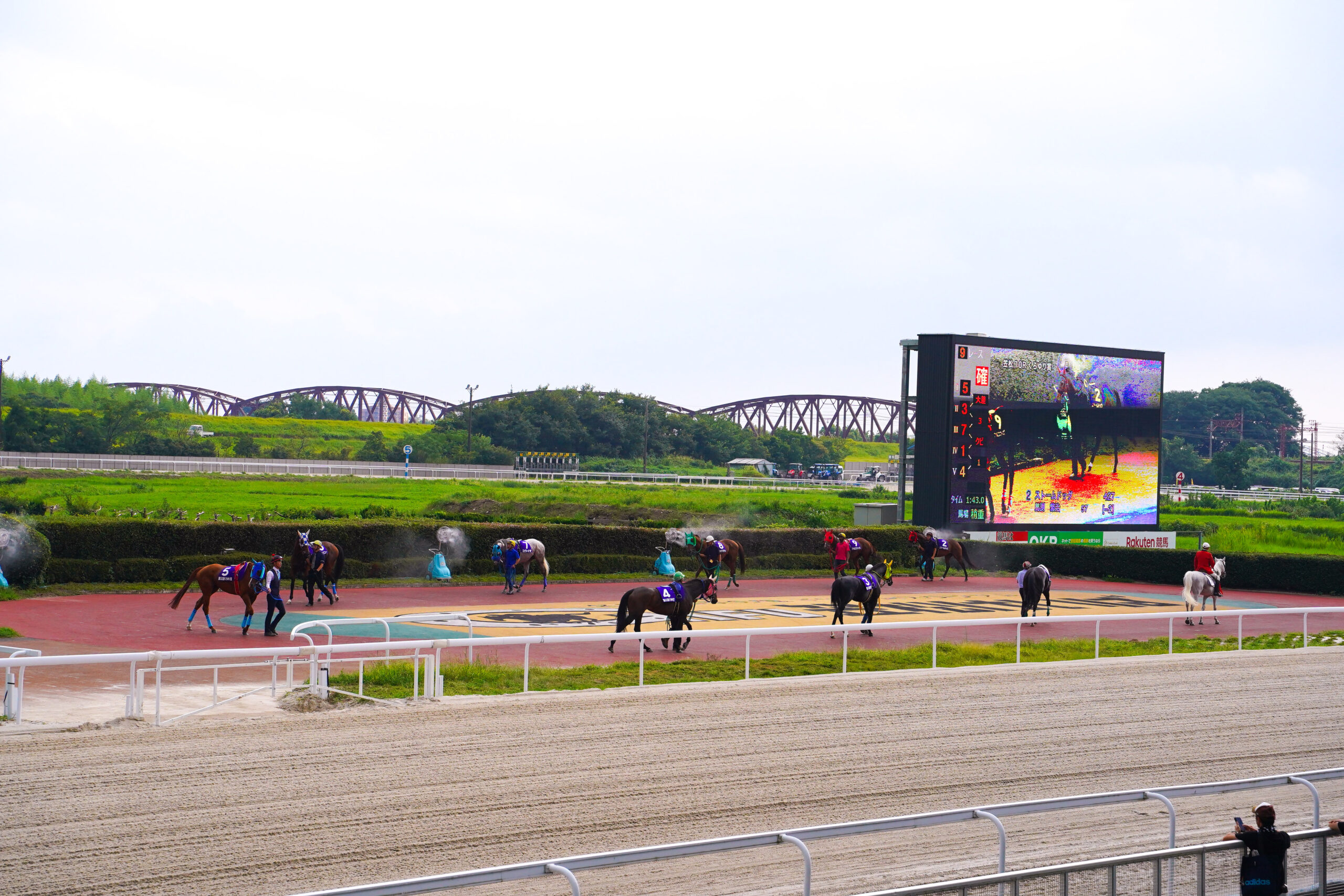 名馬オグリの聖地・笠松競馬場が今熱い！2026年の魅力とコース攻略の全貌