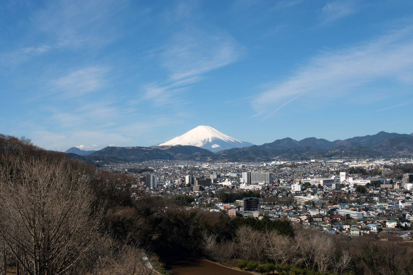 都心から1時間の奇跡の絶景：2026年、春の「弘法山」ハイキングが大人たちを惹きつける理由