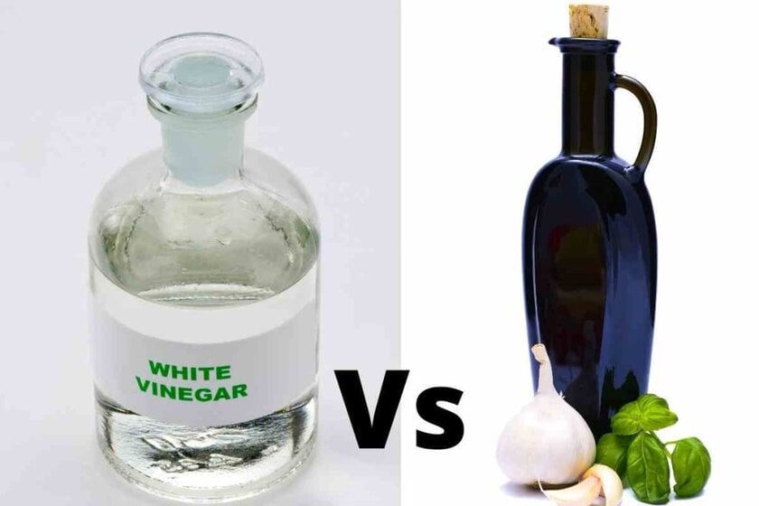 Is White Vinegar the Same as Distilled Vinegar