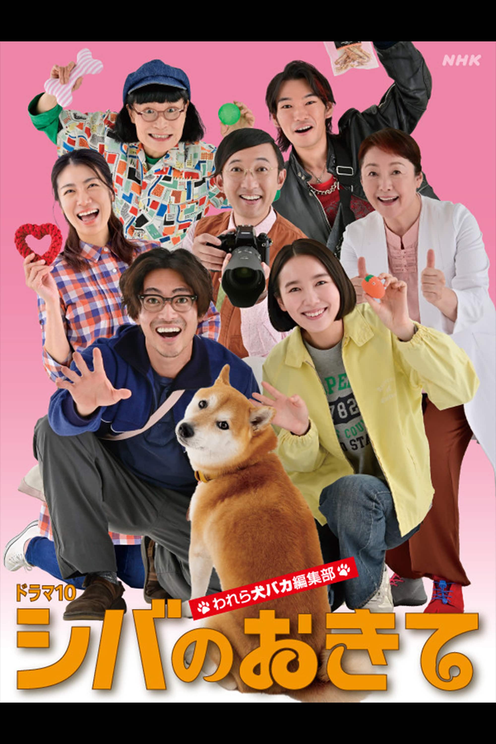 柴犬ドラマの沼にハマる人続出！名作の裏側から未公開リークまで密着