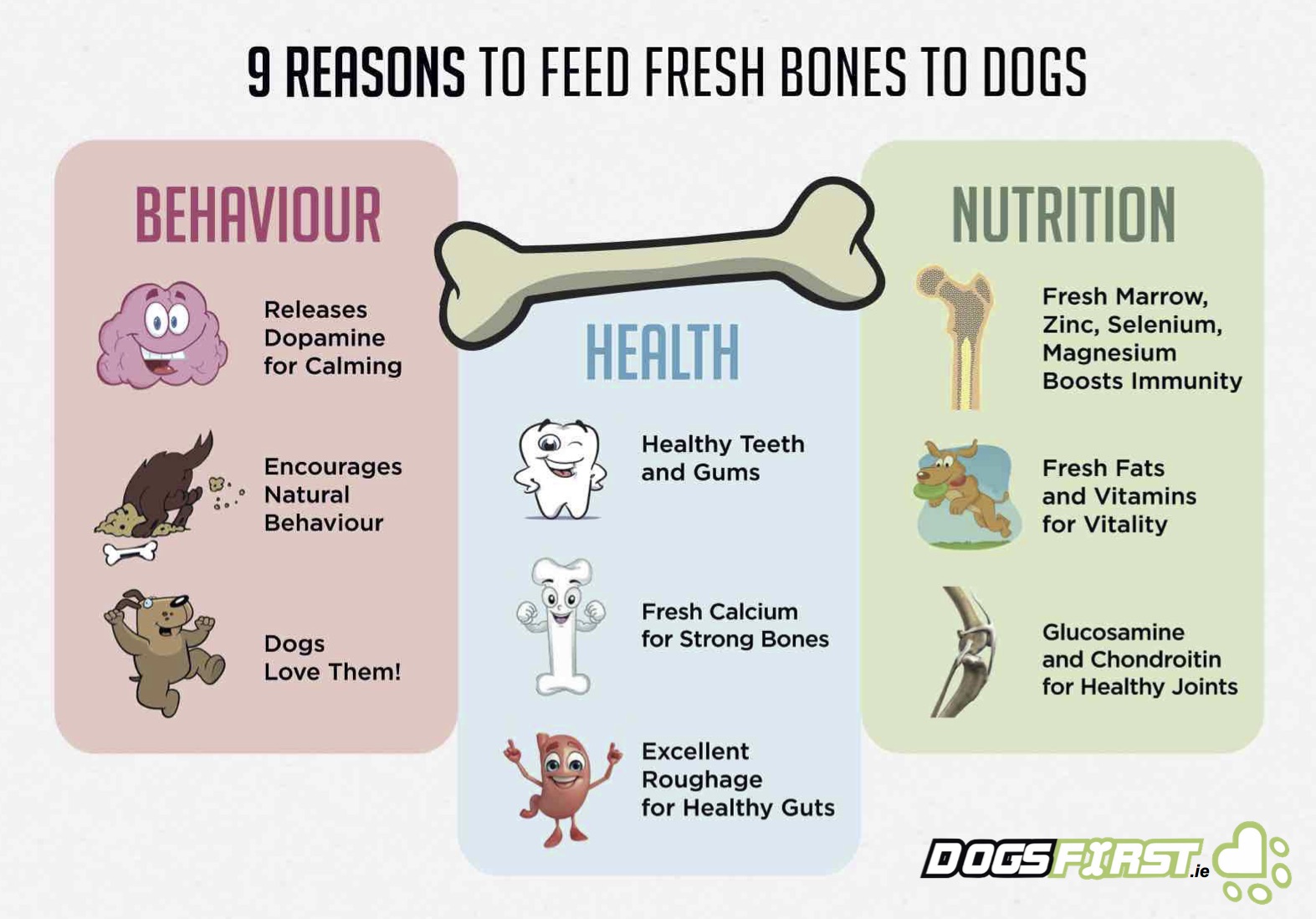 What Type of Bones Are Safe for Dogs