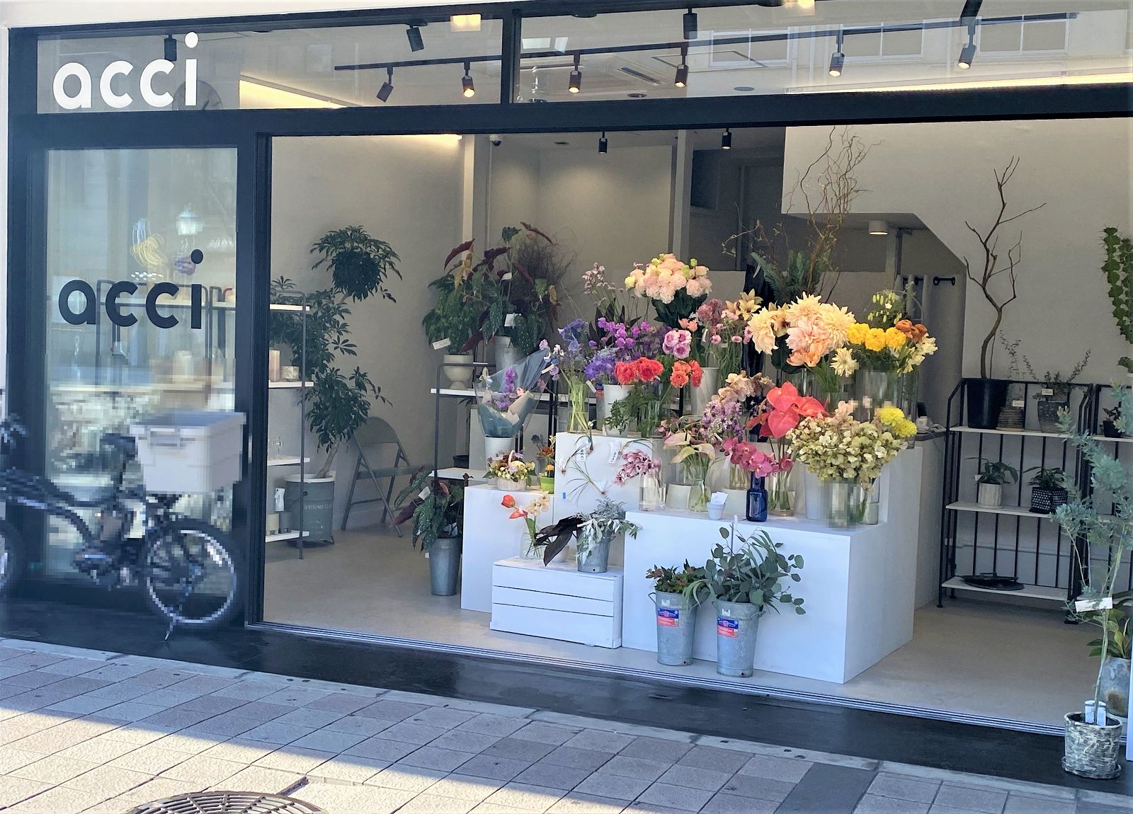 神戸元町の花屋人気店を徹底比較！ギフトで失敗しない名店の選び方