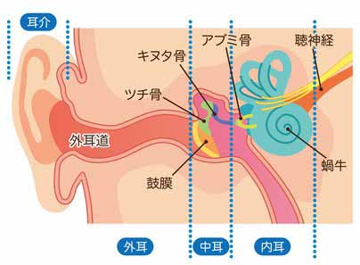 【プロフィール】 耳 から 血 ストレス 最新熱愛噂まとめ #800