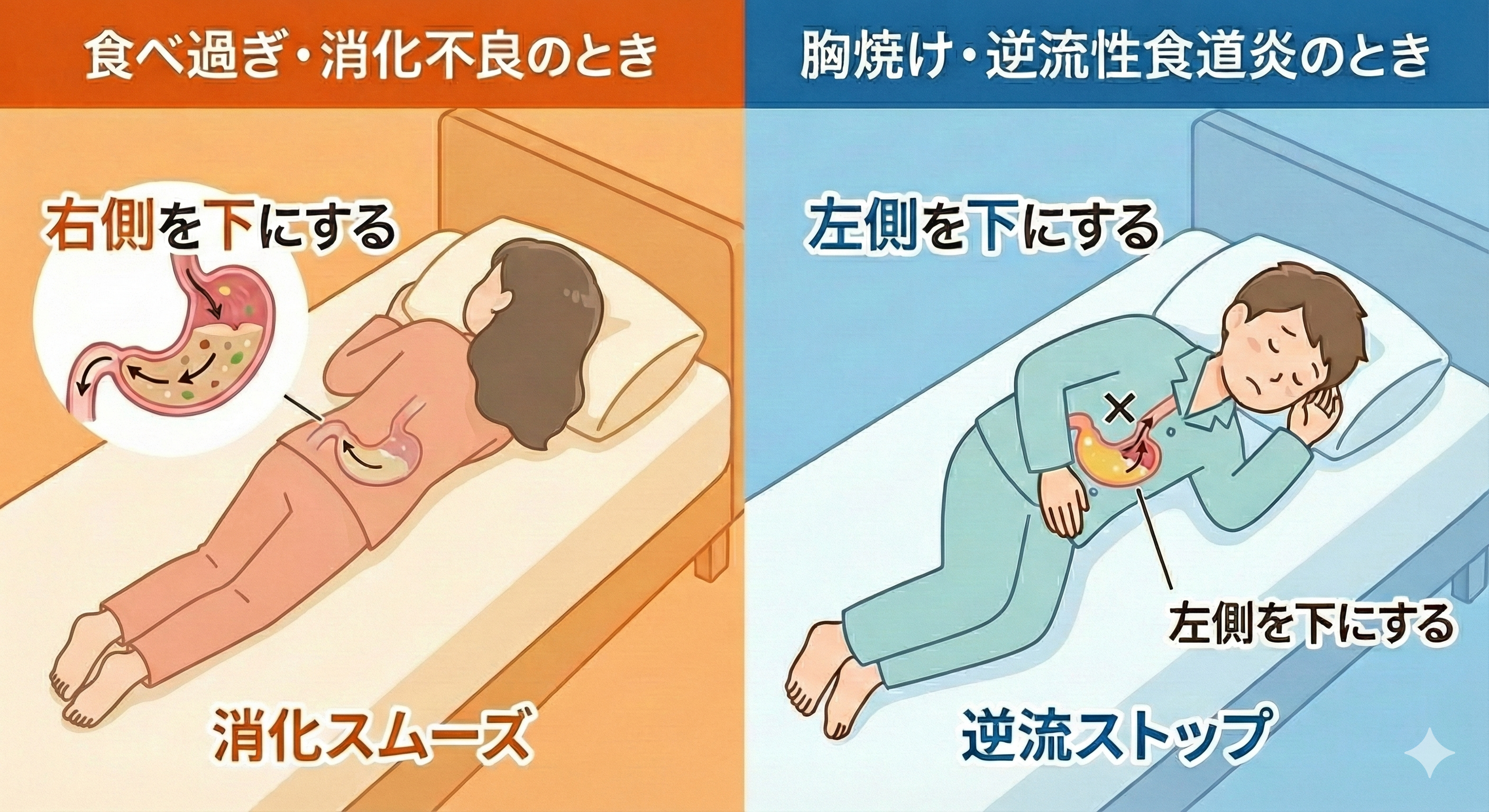 気持ち悪い時の体勢は右か左か？胃の構造から導く即効リカバリー術