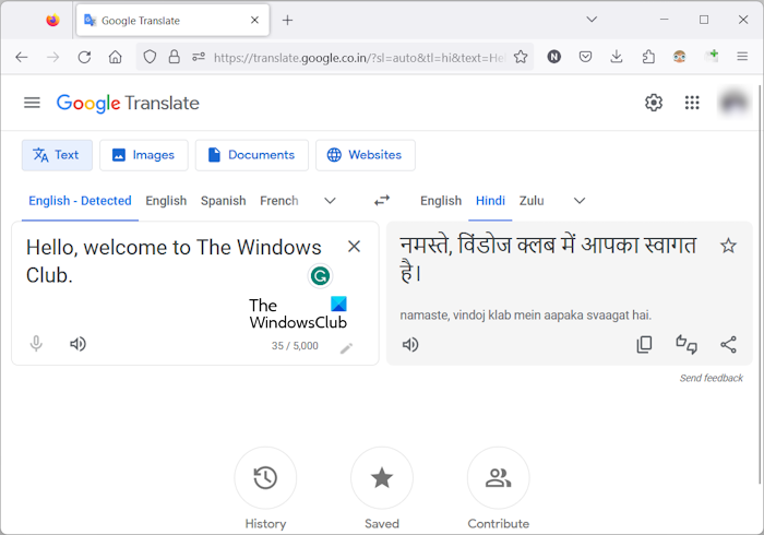 Google Translate the Following