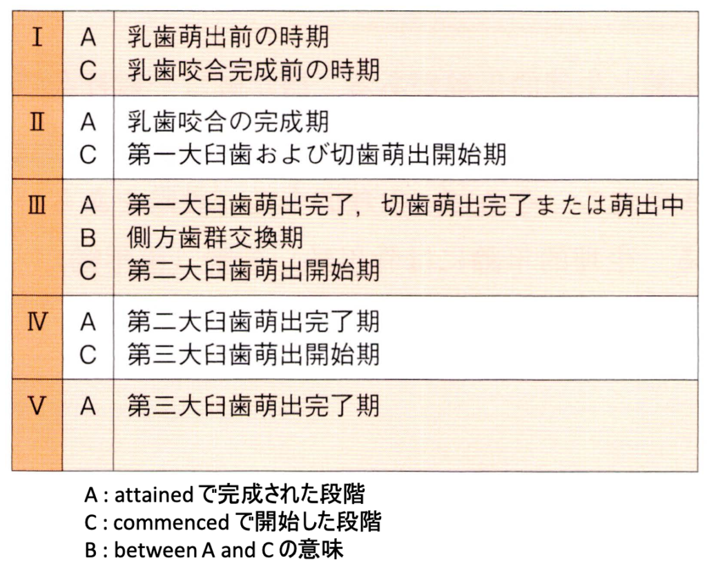 ヘルマンの歯齢と分類一覧！国試対策の覚え方と臨床判断を徹底解説