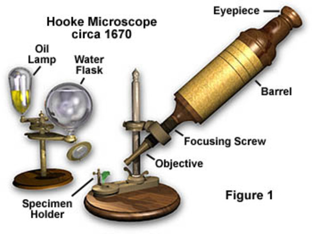 When Was the First Compound Microscope Invented
