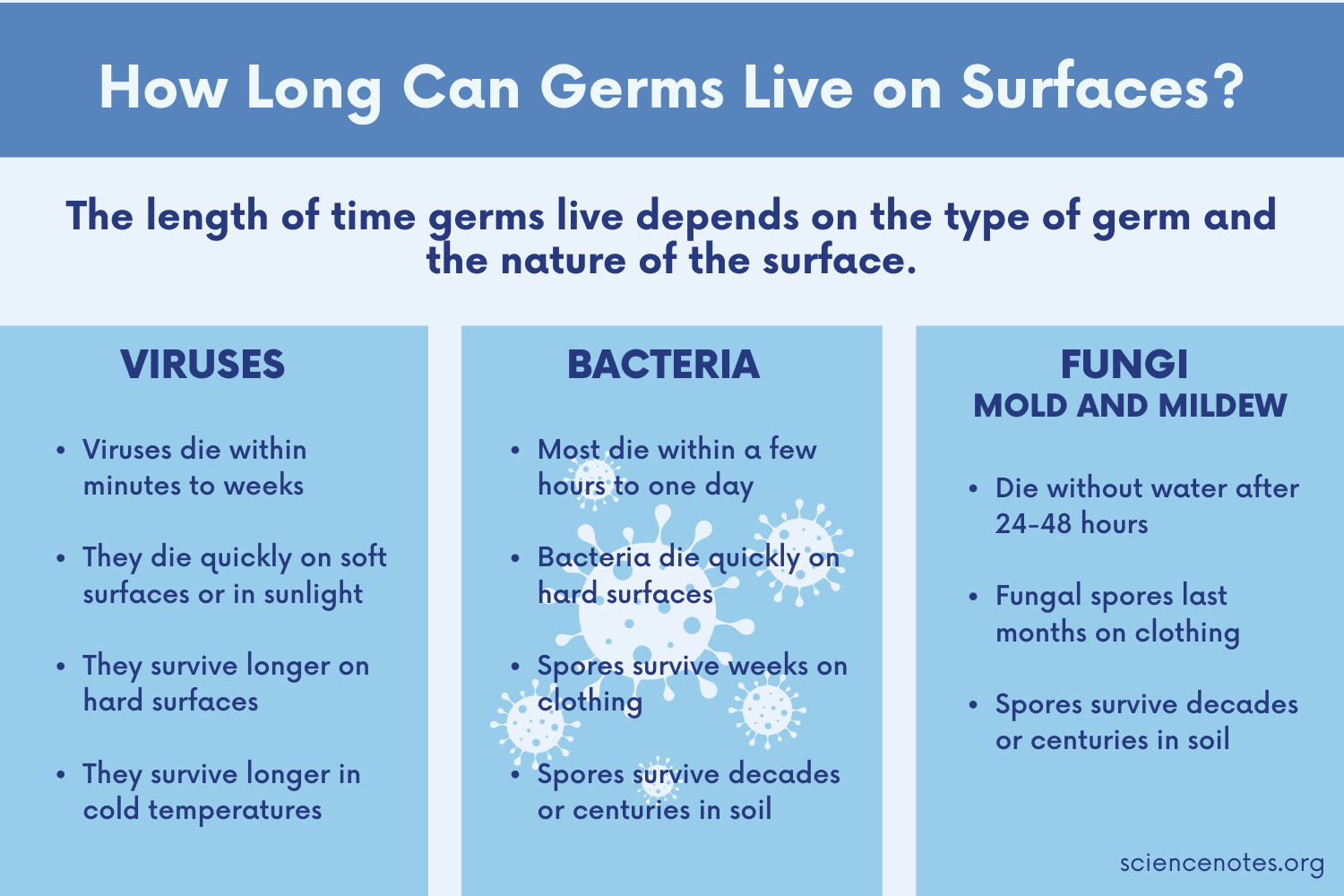 How Long Can Bacteria Live