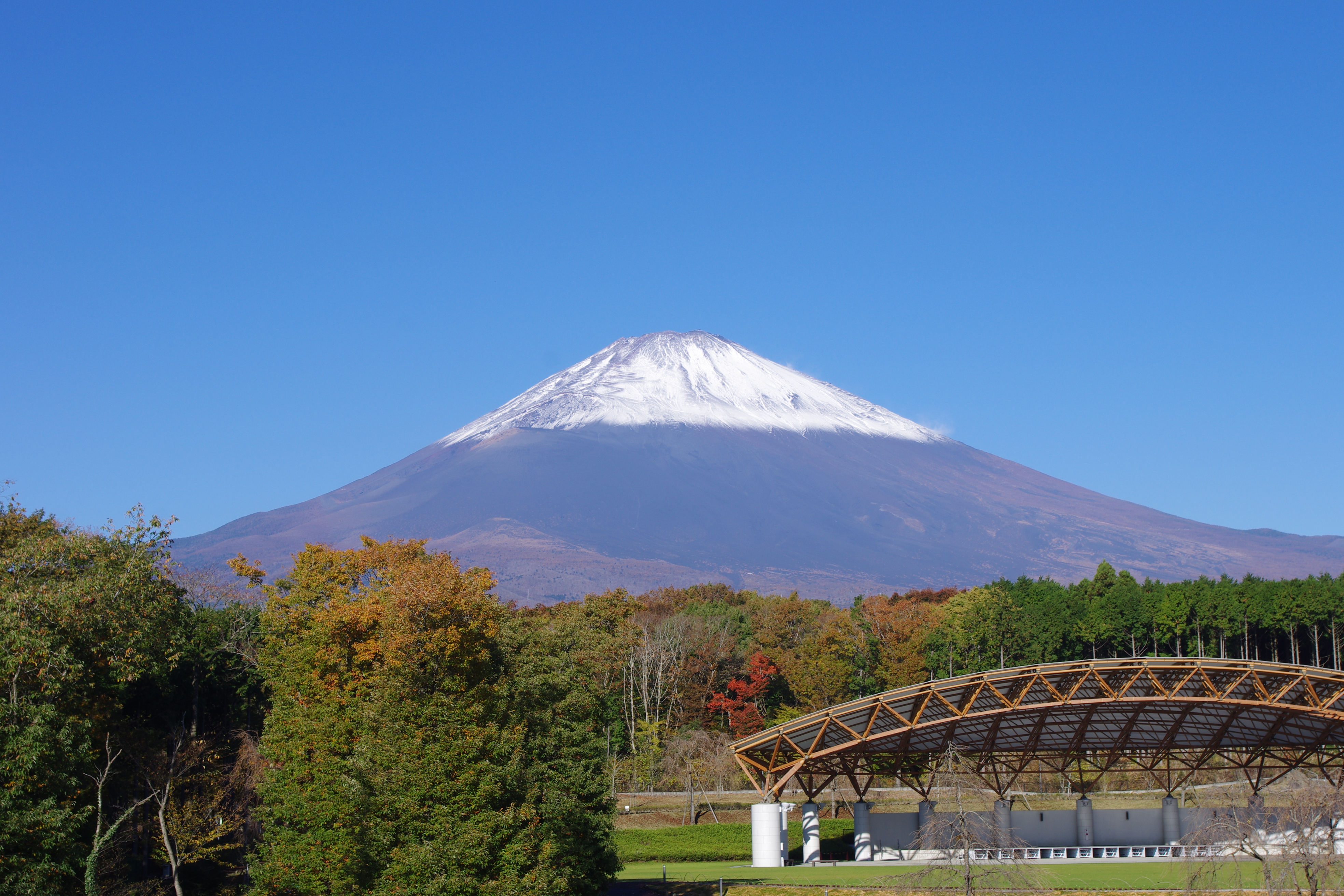 富士山樹空の森を遊び尽くす！混雑回避と温泉直行の完全攻略術