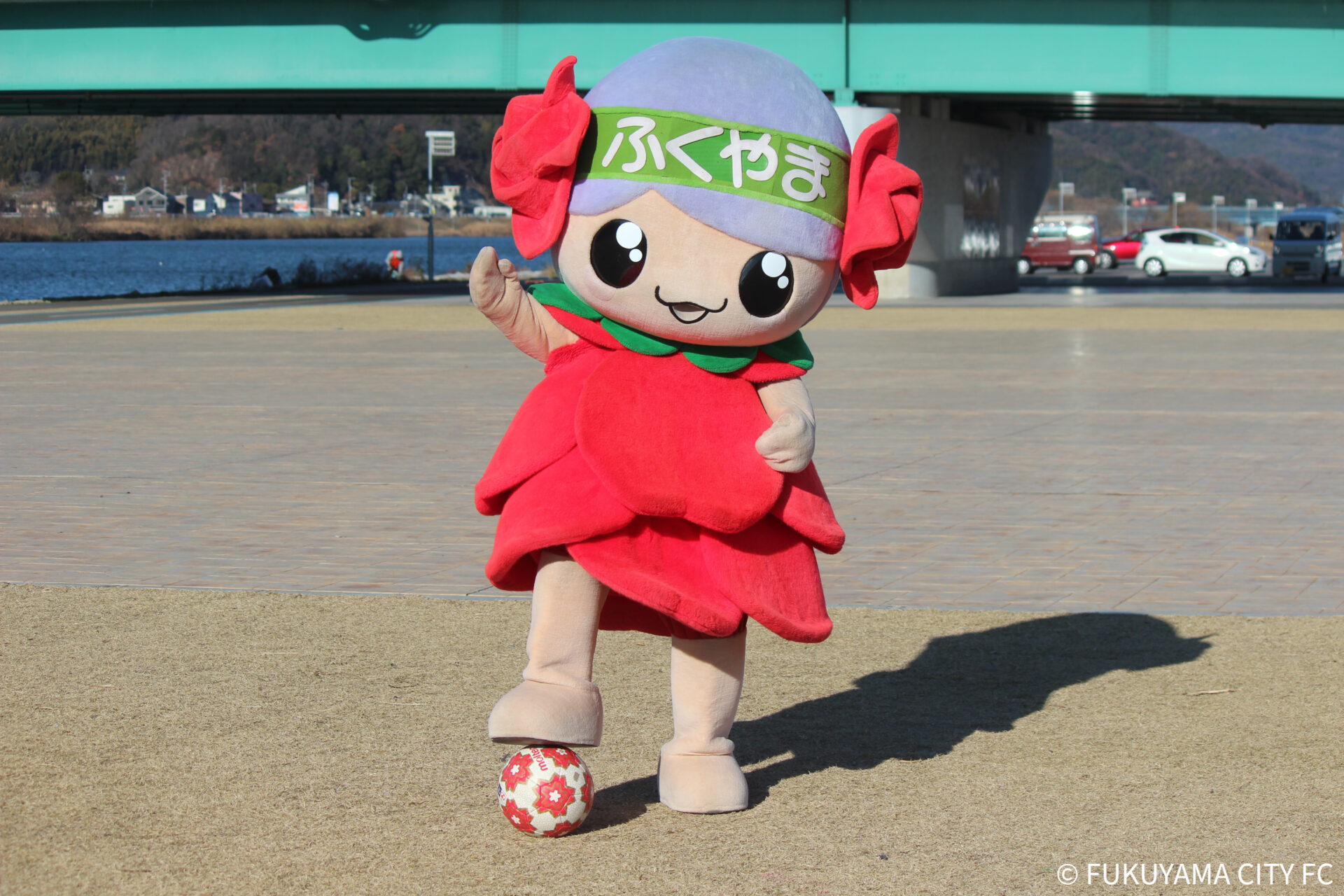 【2026最新】ローラちゃんの現在！La生活と年収・結婚の真相