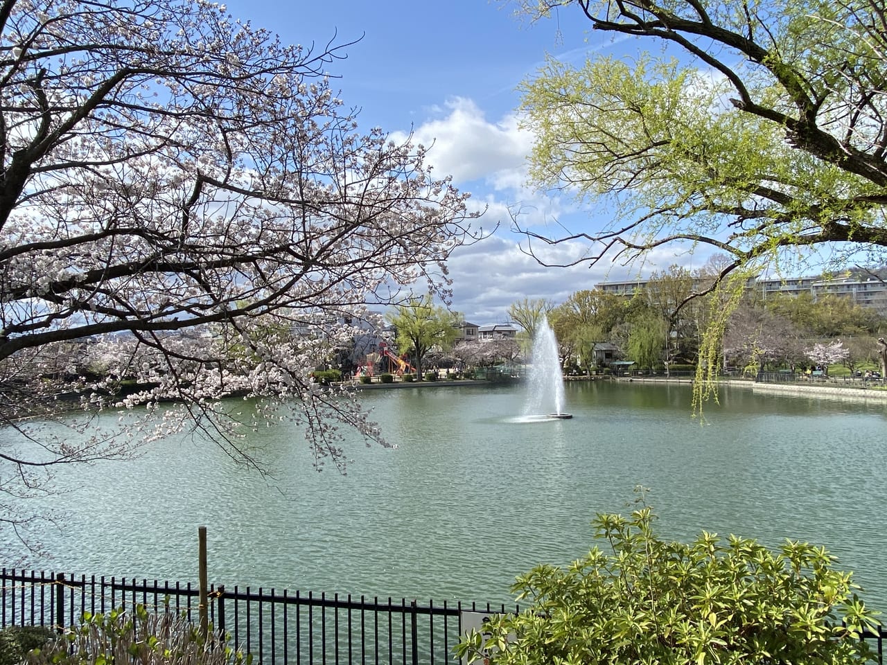 【2026年最新】名古屋・栄の深層「池田公園」が変貌中！多文化と都市再開発が交差する夜のオアシス、その光と影