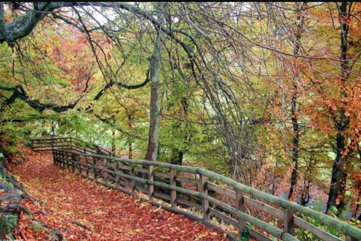 Calderglen Country Park Strathaven Road East Kilbride Glasgow